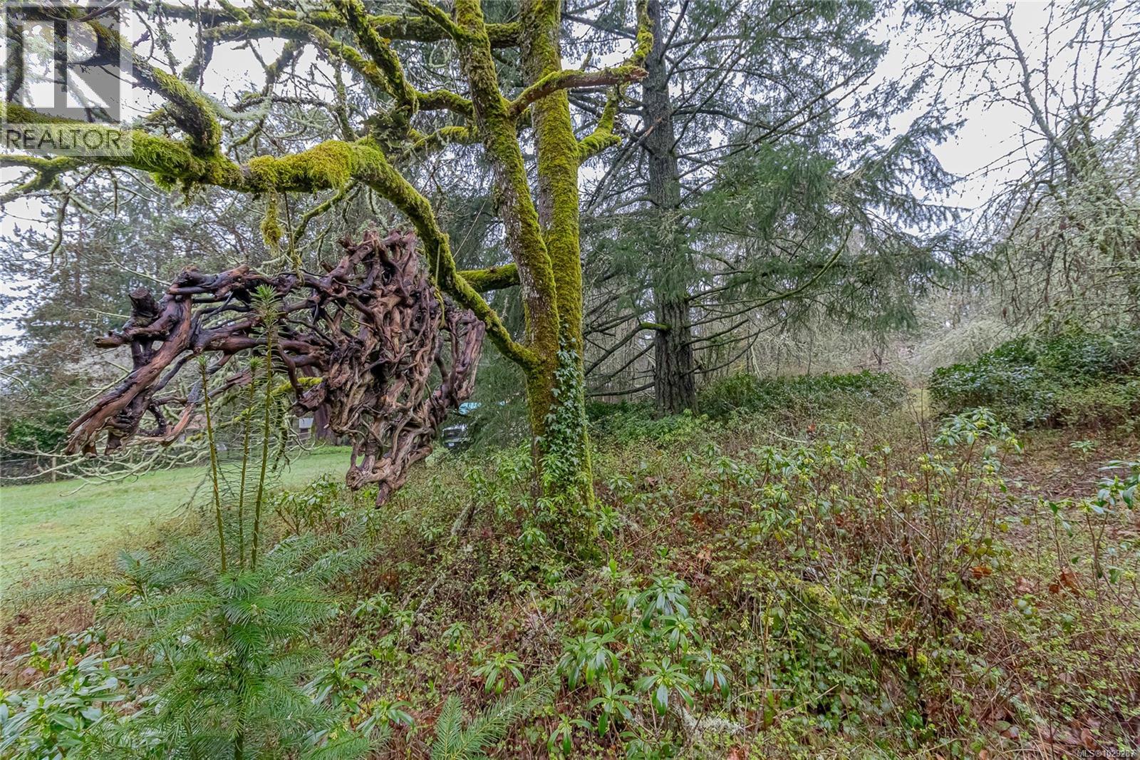 8050 Rae-Leigh Pl, Central Saanich, British Columbia  V8M 1S2 - Photo 35 - 1029287