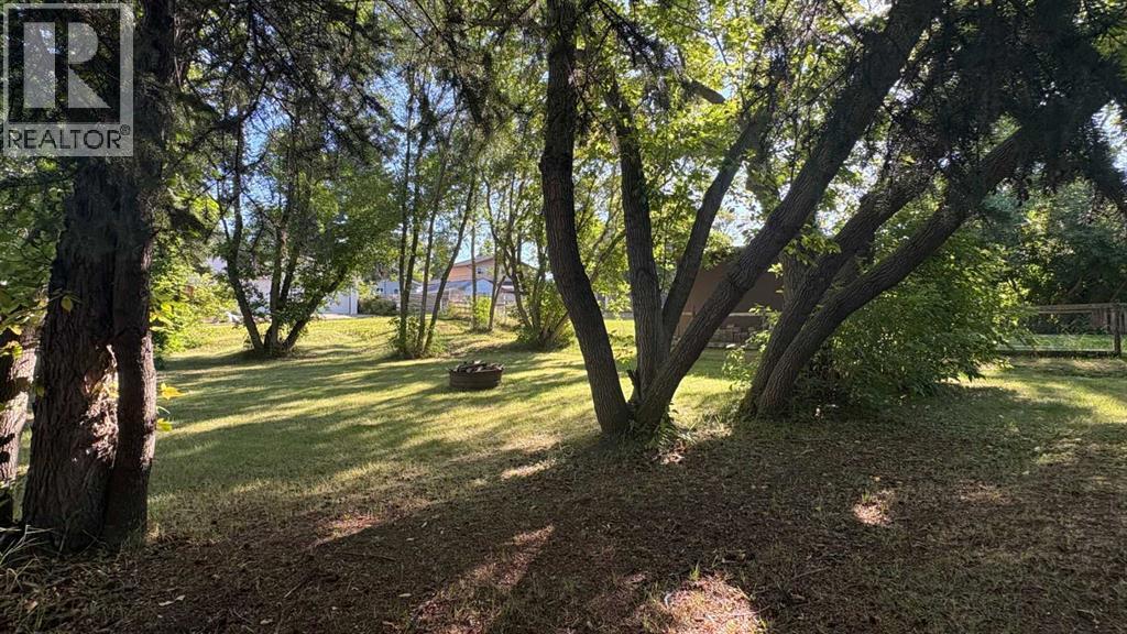 1206 6 Avenue, Wainwright, Alberta  T9W 1G2 - Photo 5 - A2205683