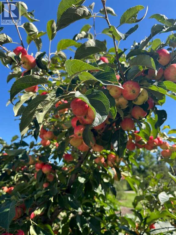 33213 Range Road 52, Rural Mountain View County, Alberta  T0M 1X0 - Photo 7 - A2294401