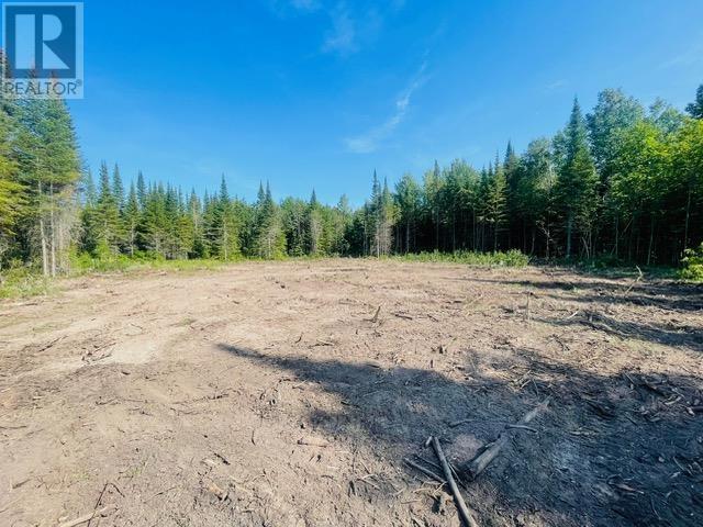 126 Haquoil Rd, Thunder Bay, Ontario  P7C 4V2 - Photo 2 - TB2600490