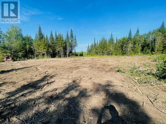 126 Haquoil Rd, Thunder Bay, Ontario  P7C 4V2 - Photo 4 - TB2600490
