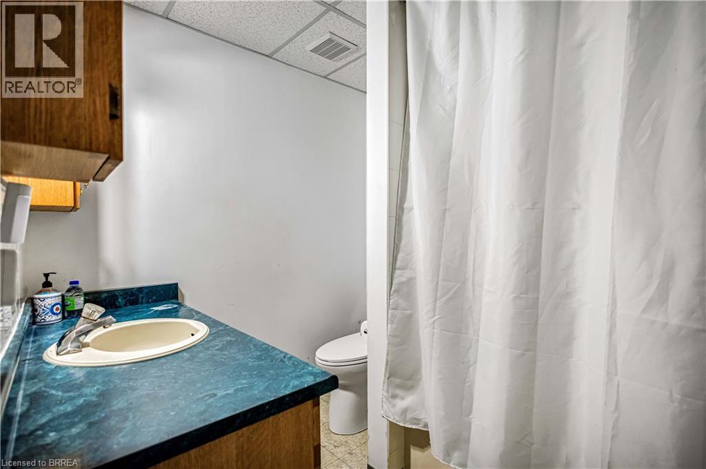 215 Grand River Avenue, Brantford, Ontario  N3T 4Y3 - Photo 31 - 40810836