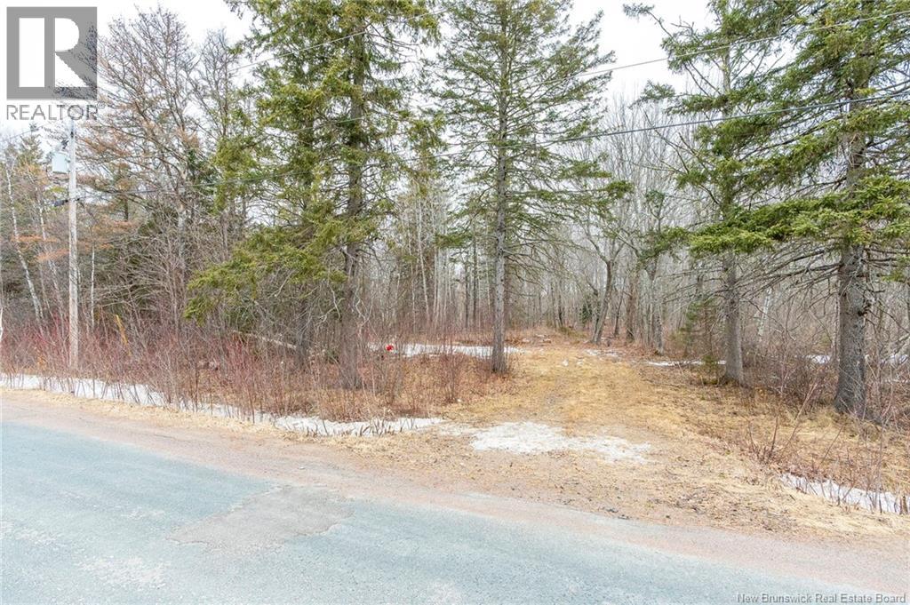 661 Ch Petite Riviere, Aldouane, New Brunswick  E4W 5C1 - Photo 1 - NB135447