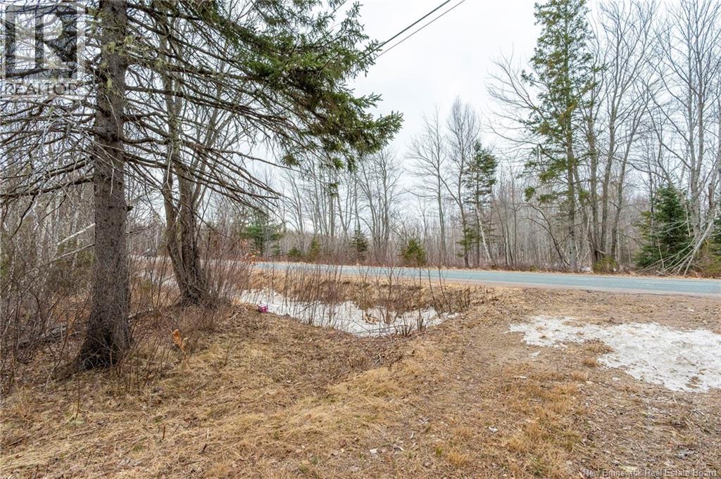 661 Ch Petite Riviere, Aldouane, New Brunswick  E4W 5C1 - Photo 10 - NB135447