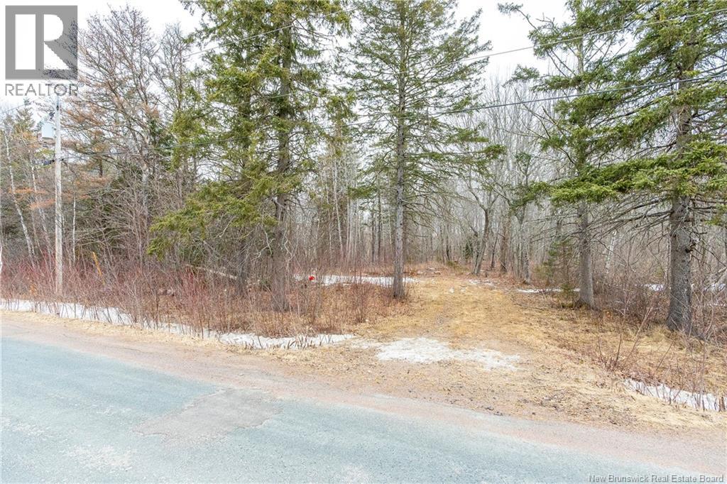 661 Ch Petite Riviere, Aldouane, New Brunswick  E4W 5C1 - Photo 9 - NB135447