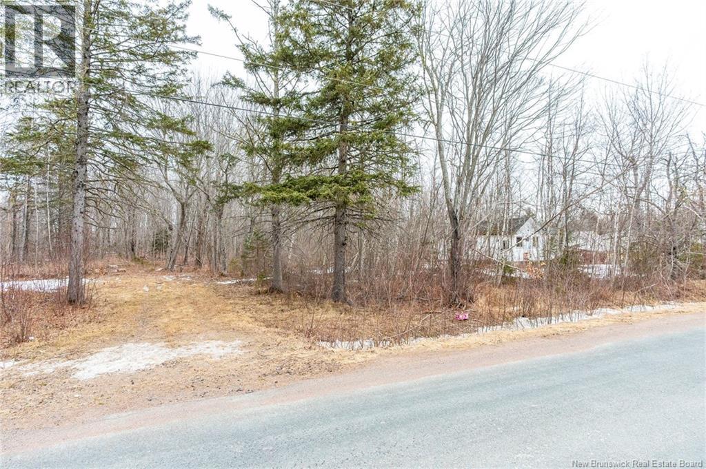 661 Ch Petite Riviere, Aldouane, New Brunswick  E4W 5C1 - Photo 5 - NB135447