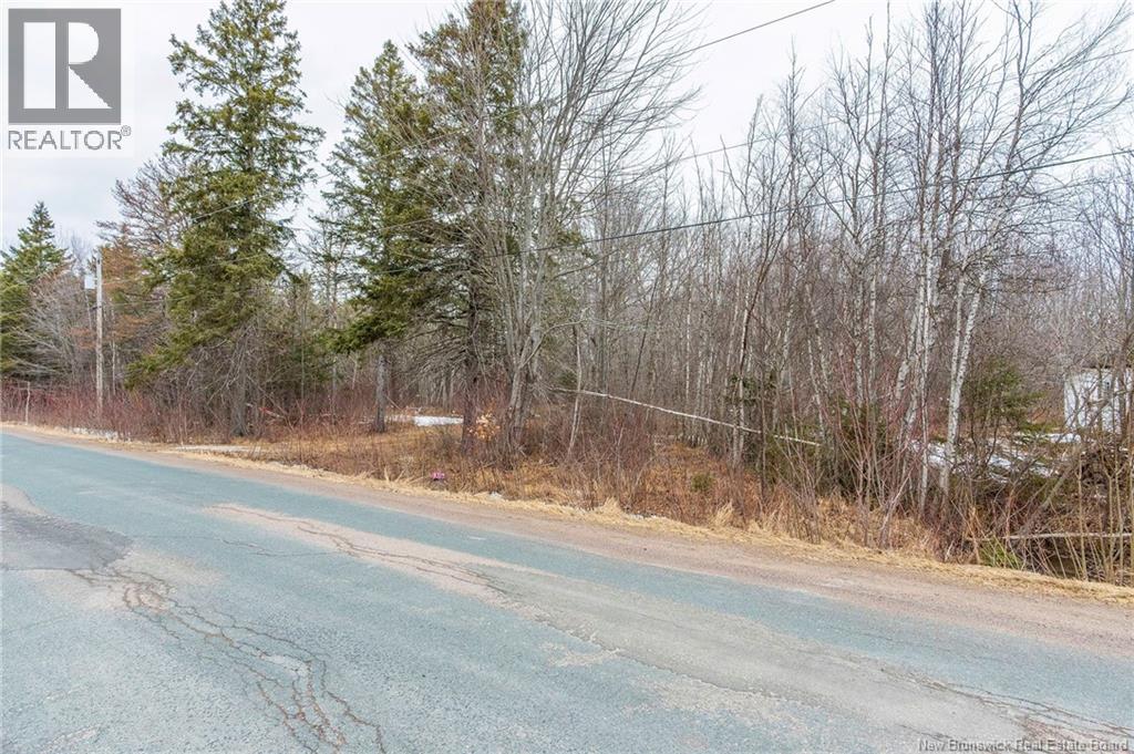 661 Ch Petite Riviere, Aldouane, New Brunswick  E4W 5C1 - Photo 4 - NB135447