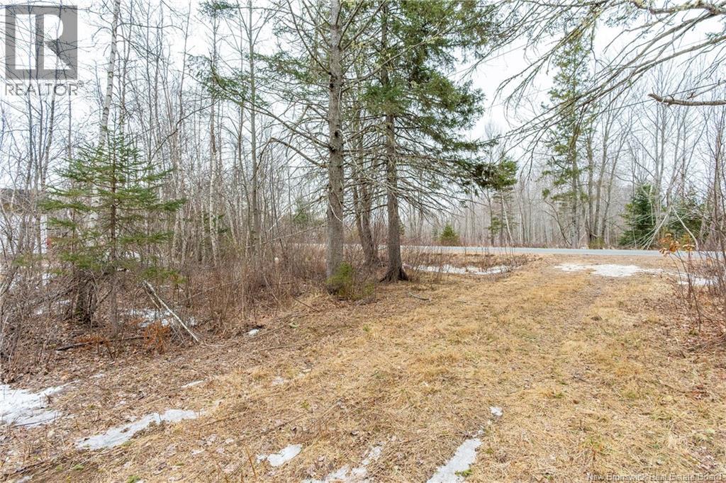661 Ch Petite Riviere, Aldouane, New Brunswick  E4W 5C1 - Photo 38 - NB135447