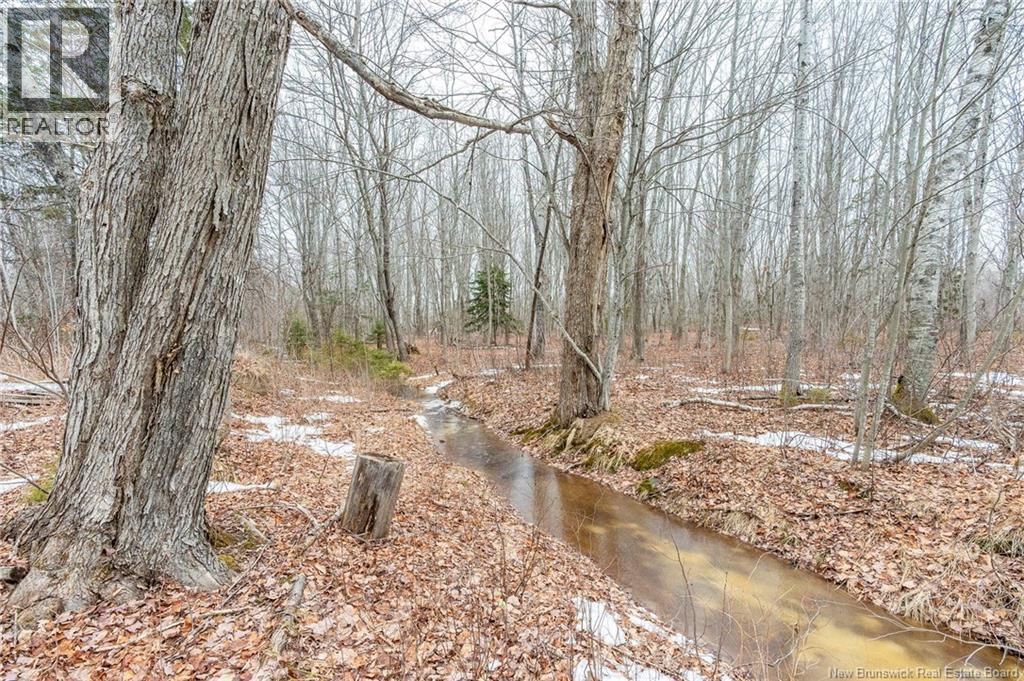 661 Ch Petite Riviere, Aldouane, New Brunswick  E4W 5C1 - Photo 32 - NB135447