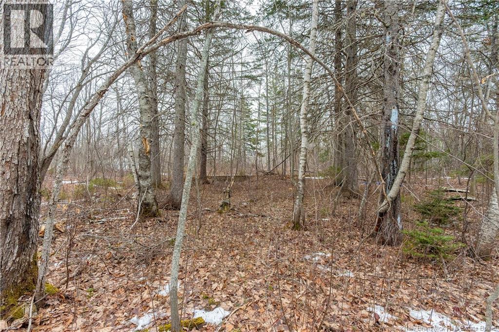 661 Ch Petite Riviere, Aldouane, New Brunswick  E4W 5C1 - Photo 42 - NB135447