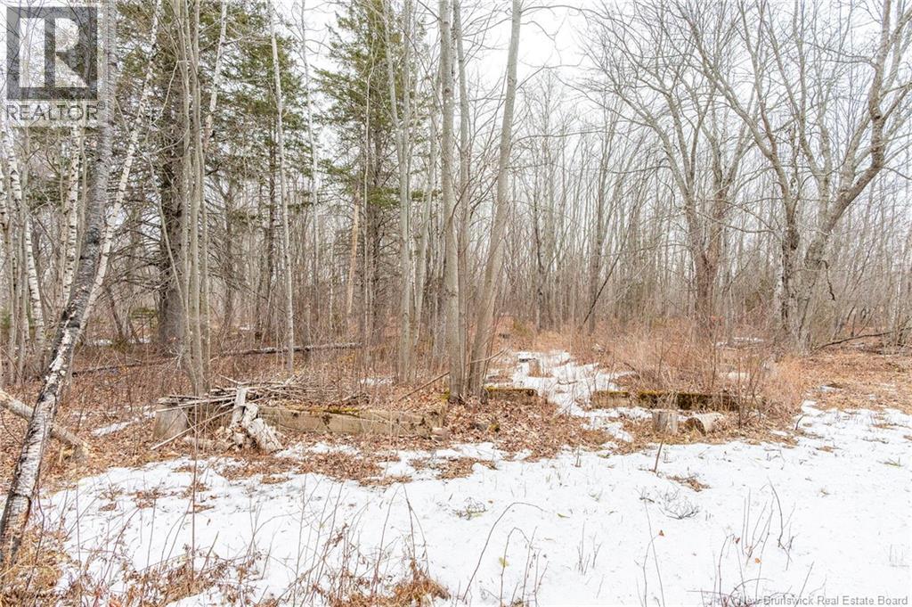 661 Ch Petite Riviere, Aldouane, New Brunswick  E4W 5C1 - Photo 29 - NB135447