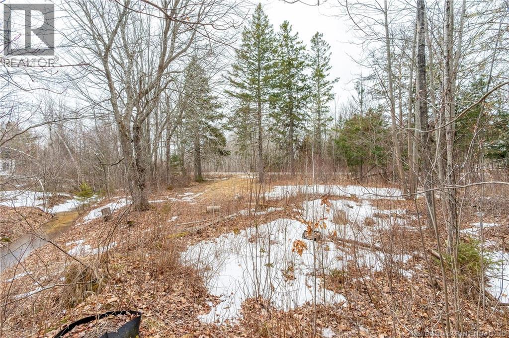 661 Ch Petite Riviere, Aldouane, New Brunswick  E4W 5C1 - Photo 18 - NB135447