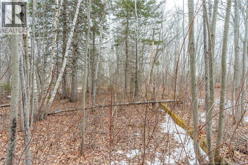 661 Ch Petite Riviere, Aldouane, New Brunswick  E4W 5C1 - Photo 26 - NB135447