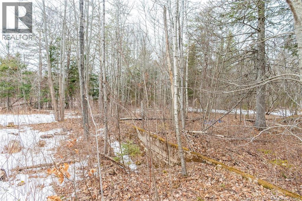 661 Ch Petite Riviere, Aldouane, New Brunswick  E4W 5C1 - Photo 17 - NB135447