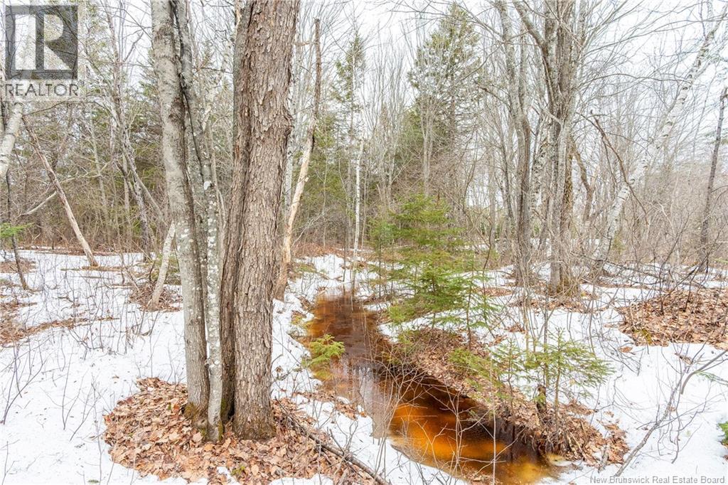 661 Ch Petite Riviere, Aldouane, New Brunswick  E4W 5C1 - Photo 41 - NB135447