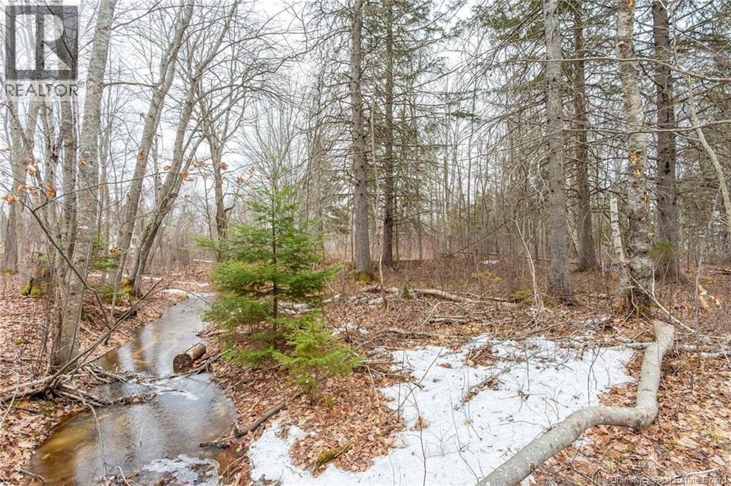661 Ch Petite Riviere, Aldouane, New Brunswick  E4W 5C1 - Photo 19 - NB135447