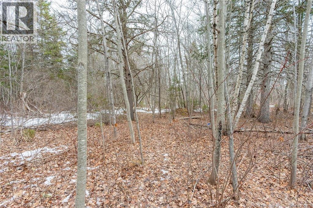 661 Ch Petite Riviere, Aldouane, New Brunswick  E4W 5C1 - Photo 27 - NB135447