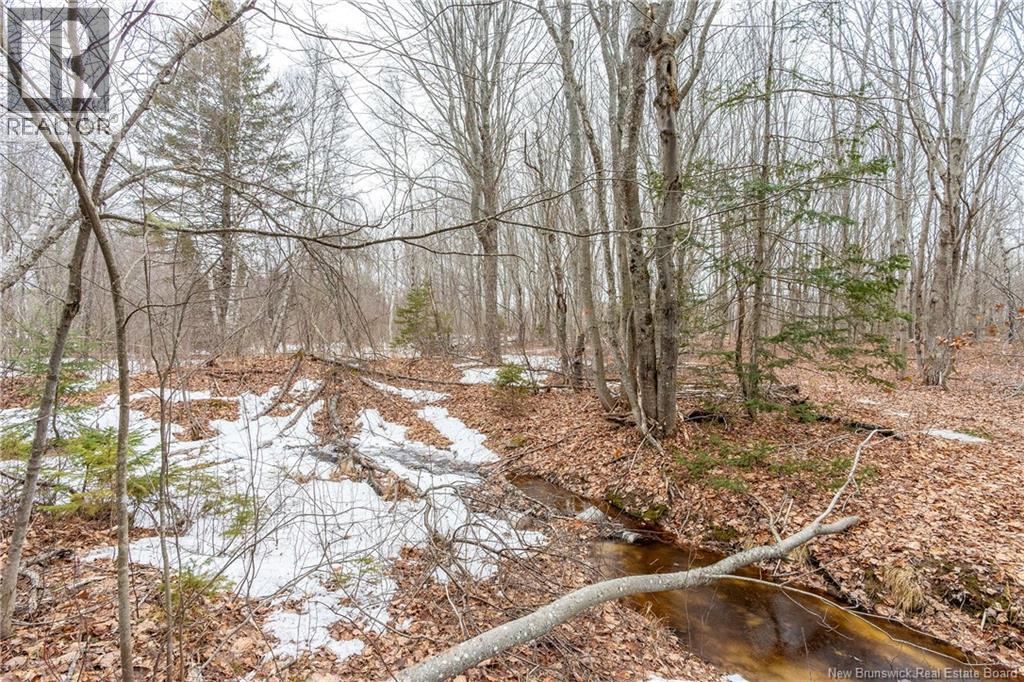 661 Ch Petite Riviere, Aldouane, New Brunswick  E4W 5C1 - Photo 46 - NB135447