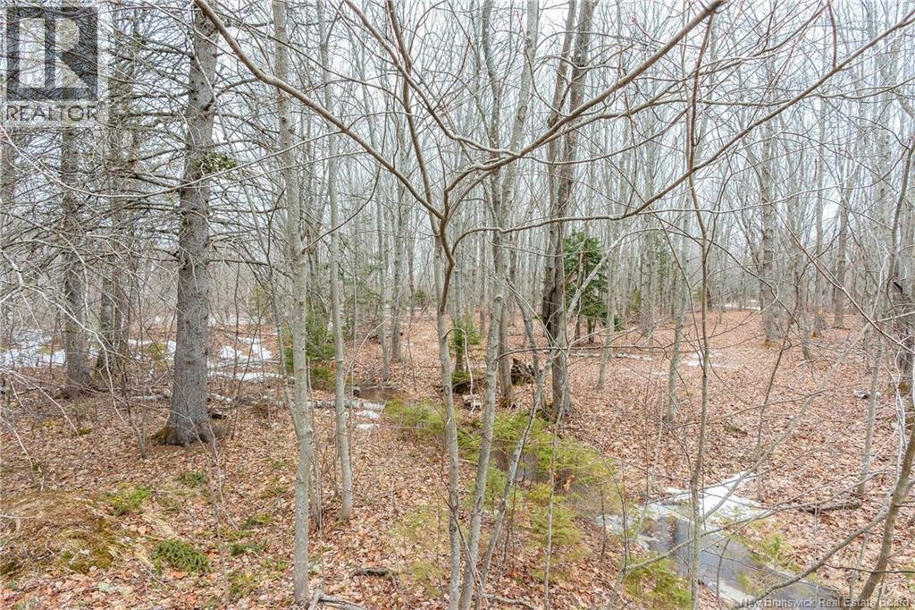 661 Ch Petite Riviere, Aldouane, New Brunswick  E4W 5C1 - Photo 36 - NB135447