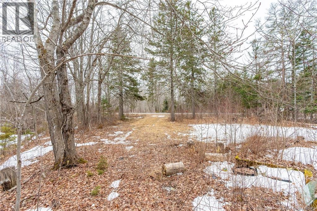 661 Ch Petite Riviere, Aldouane, New Brunswick  E4W 5C1 - Photo 37 - NB135447