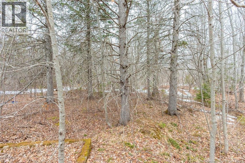 661 Ch Petite Riviere, Aldouane, New Brunswick  E4W 5C1 - Photo 16 - NB135447