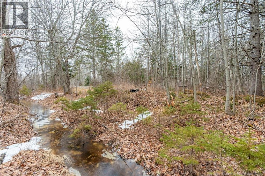 661 Ch Petite Riviere, Aldouane, New Brunswick  E4W 5C1 - Photo 23 - NB135447