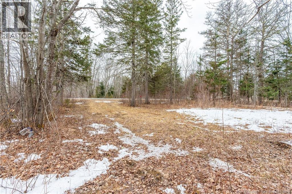 661 Ch Petite Riviere, Aldouane, New Brunswick  E4W 5C1 - Photo 31 - NB135447