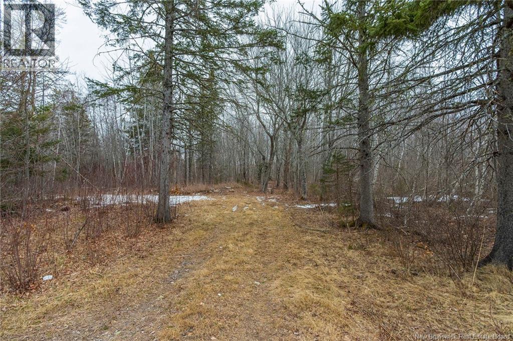 661 Ch Petite Riviere, Aldouane, New Brunswick  E4W 5C1 - Photo 34 - NB135447