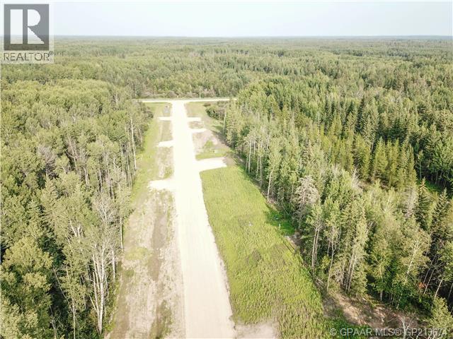 37, 704016 Range Road 70, Rural Grande Prairie No. 1, Alberta  T0H 3V0 - Photo 3 - A2099659