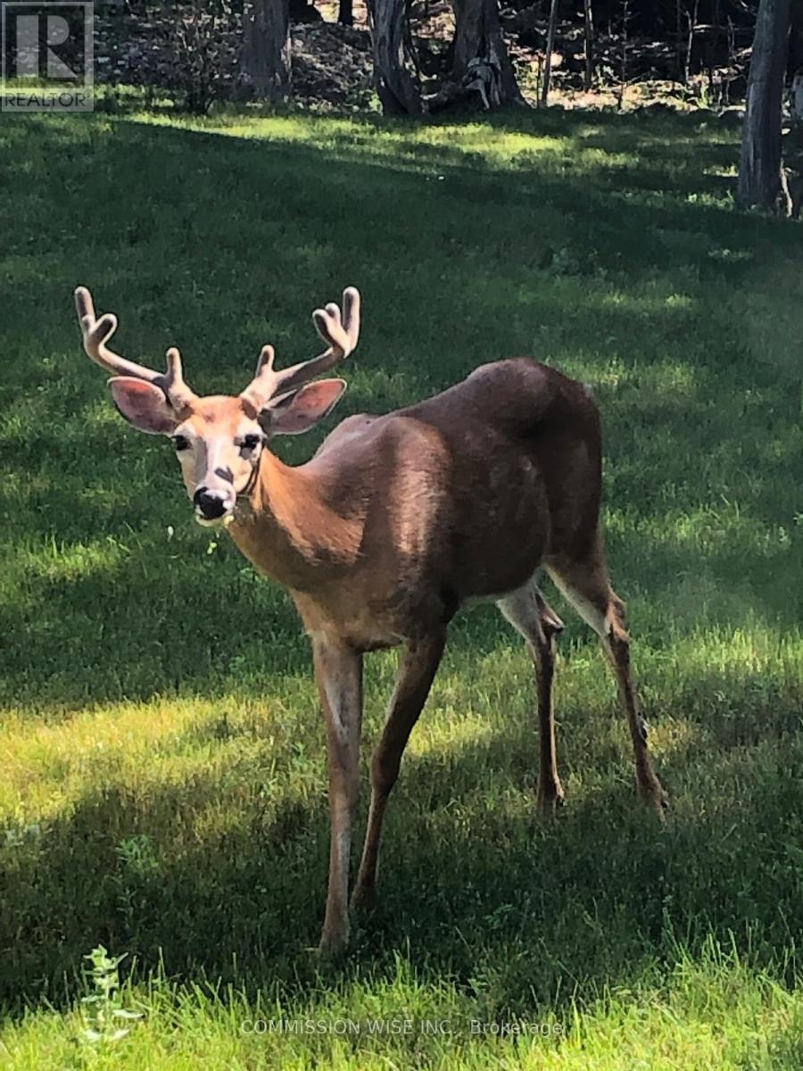 185 Morris Island Drive, Ottawa, Ontario  K7S 3G7 - Photo 28 - X12903732