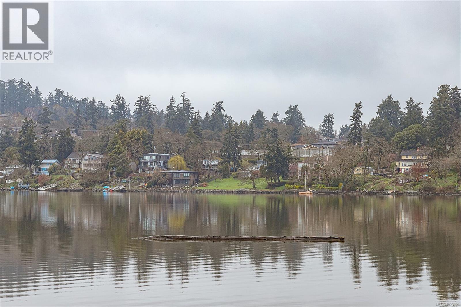 2898 Glenwood Ave, Saanich, British Columbia  V9A 2S2 - Photo 68 - 1029423