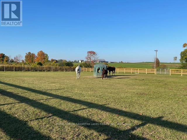 50 Farmview Road, Kawartha Lakes, Ontario  K0L 2W0 - Photo 34 - X12903864