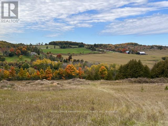 50 Farmview Road, Kawartha Lakes, Ontario  K0L 2W0 - Photo 39 - X12903864