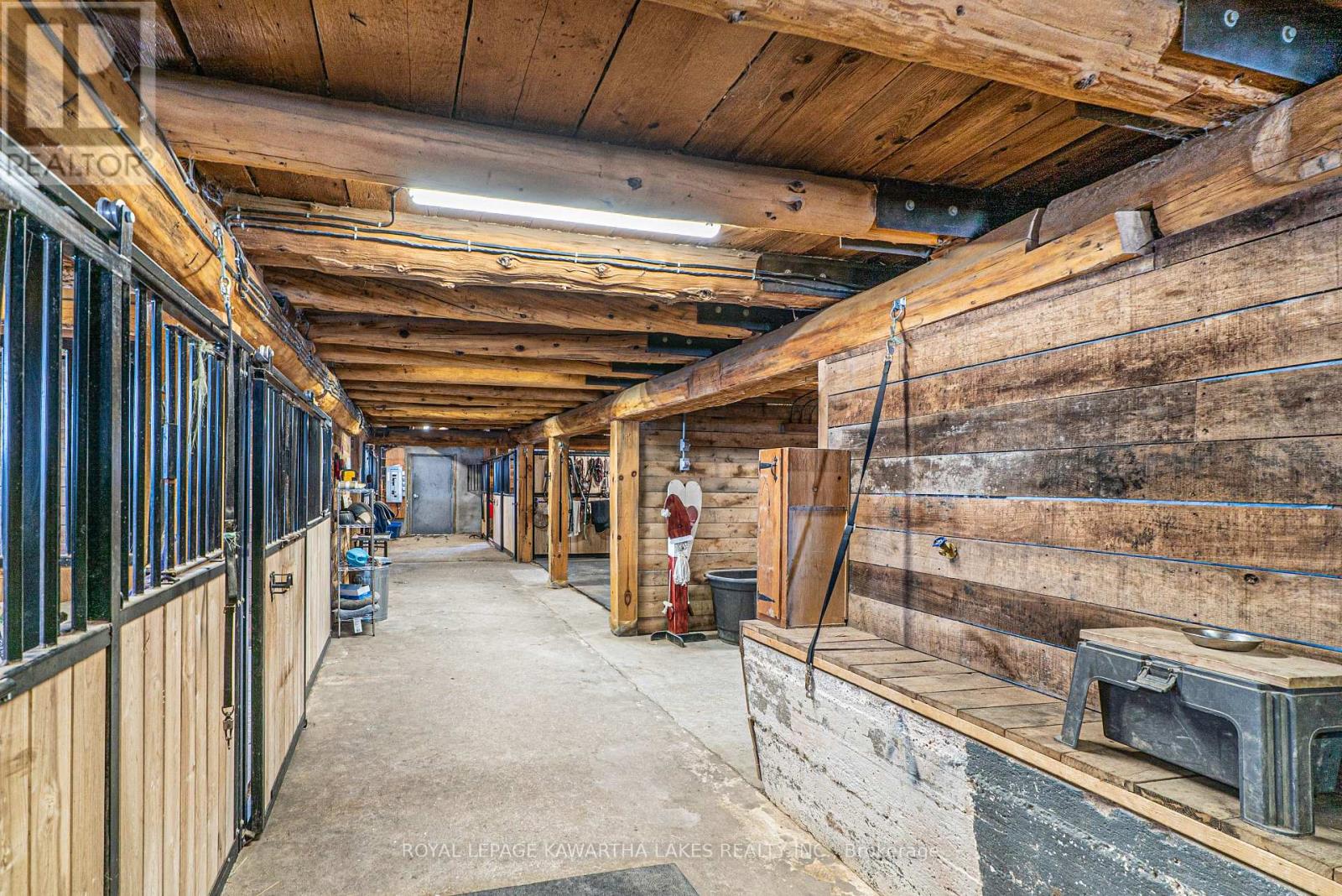 50 Farmview Road, Kawartha Lakes, Ontario  K0L 2W0 - Photo 45 - X12903864