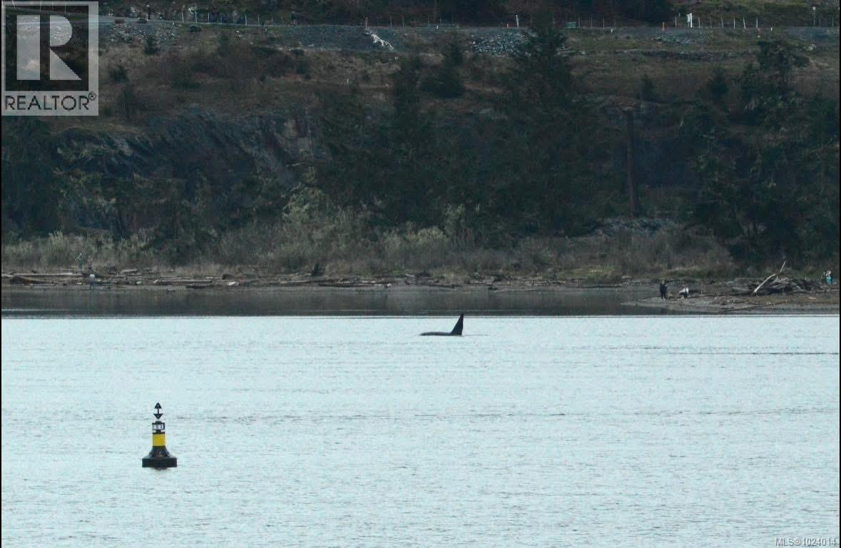 402 1820 Maple Ave S, Sooke, British Columbia  V9Z 0N9 - Photo 35 - 1024014