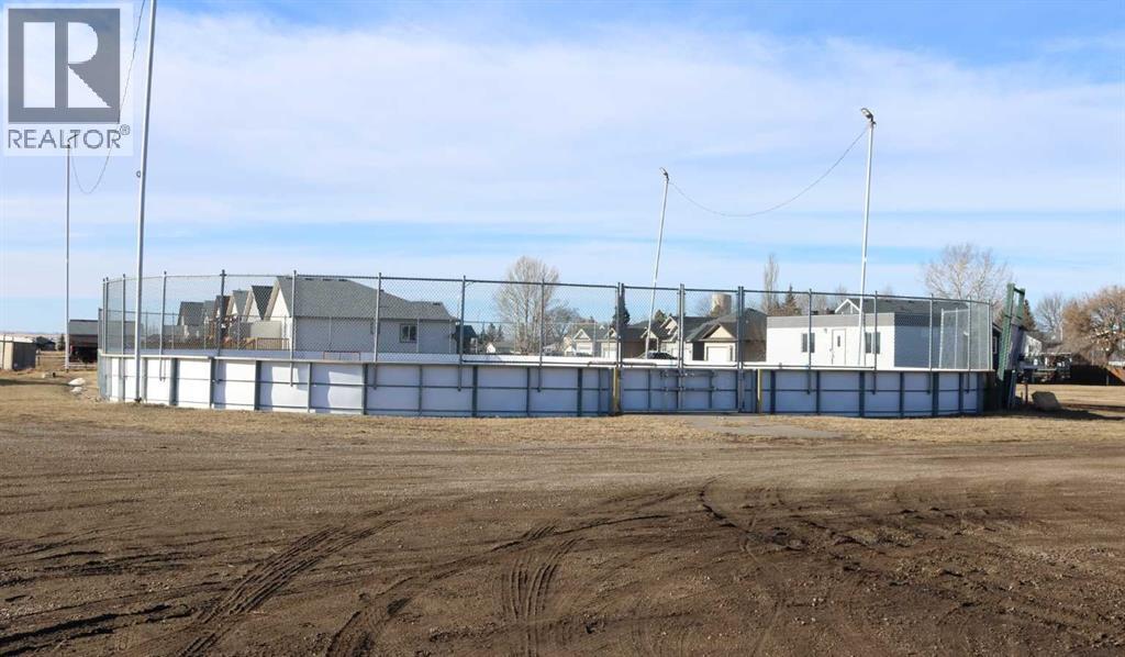 447 Henricks Drive, Irricana, Alberta  T0M 1G0 - Photo 27 - A2287250