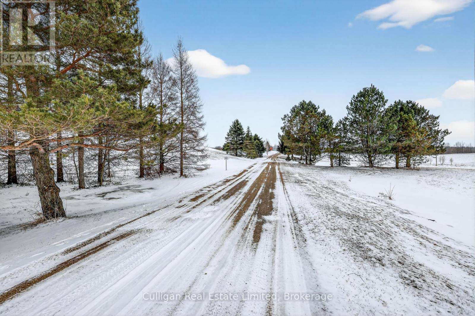 321 Field Road, South Bruce, Ontario  N0G 2J0 - Photo 3 - X12903936