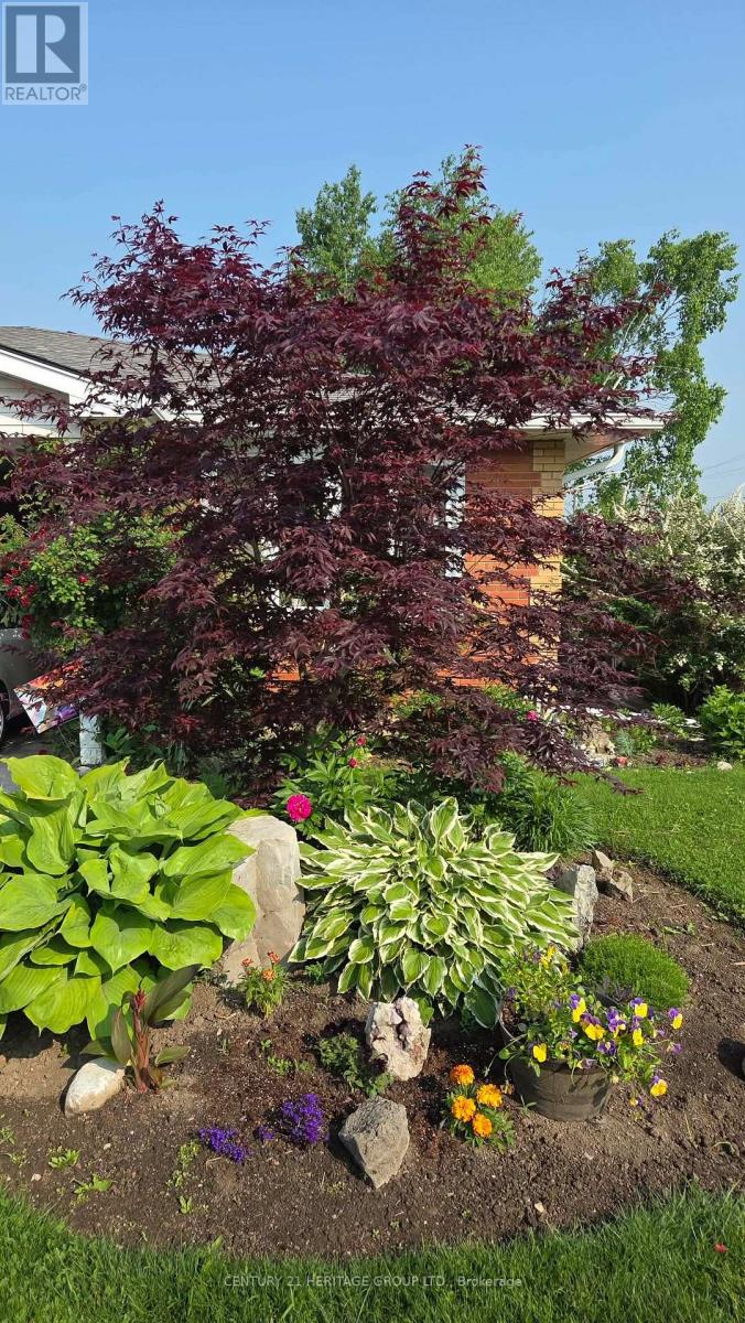 1 - 31 Kinross Street, Haldimand, Ontario N3W 1J7 - Photo 47 - X12891012