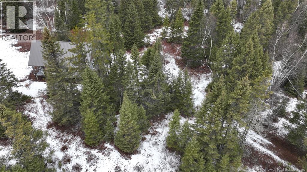 17.1 Hec (Camp) Howard Rd, Howard, New Brunswick  E9B 2E1 - Photo 33 - NB135467