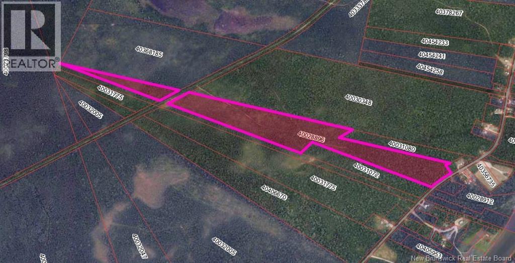 17.1 Hec (Camp) Howard Rd, Howard, New Brunswick  E9B 2E1 - Photo 34 - NB135467