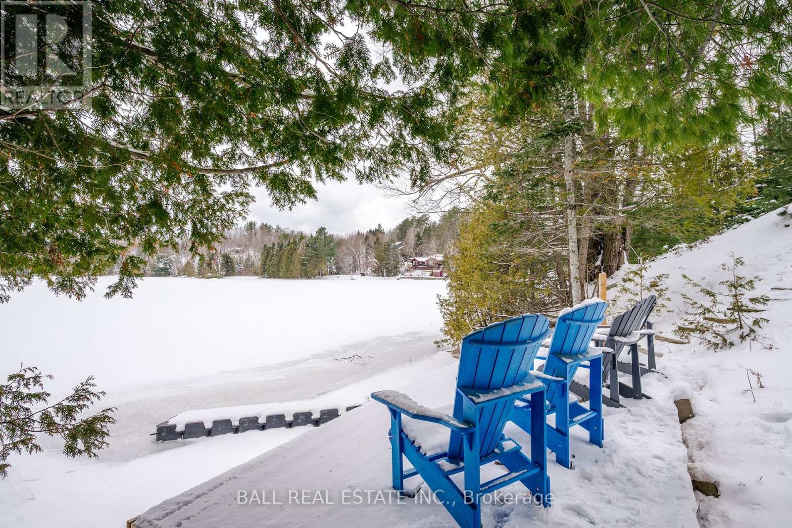25 Fire Route 330, Trent Lakes, Ontario  K0M 1R0 - Photo 9 - X12904408