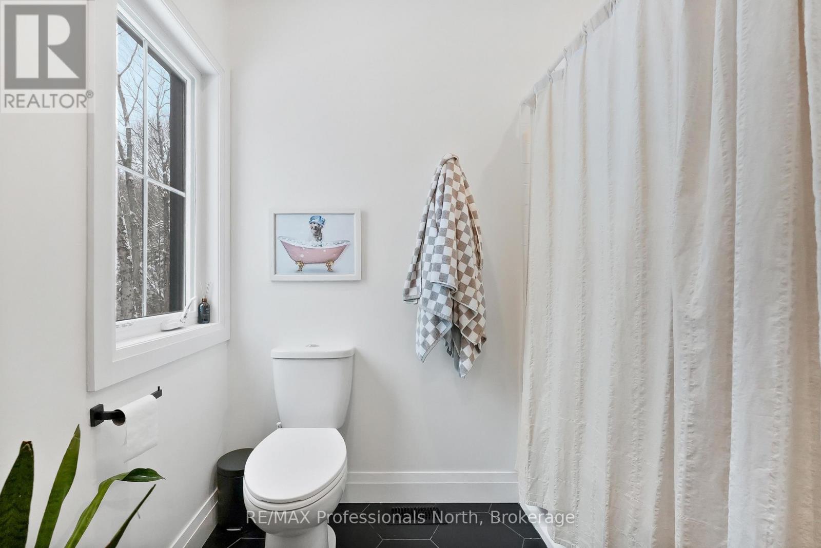 195 Lakeview Street, Dysart Et Al, Ontario  K0M 1S0 - Photo 31 - X12904196