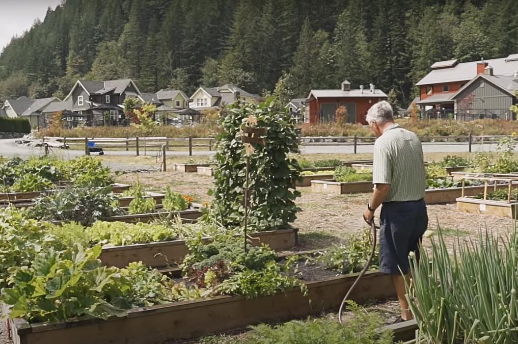 43331 Creekside Circle, Cultus Lake South, Lindell Beach, British Columbia  V2R 0Z4 - Photo 39 - R3075689