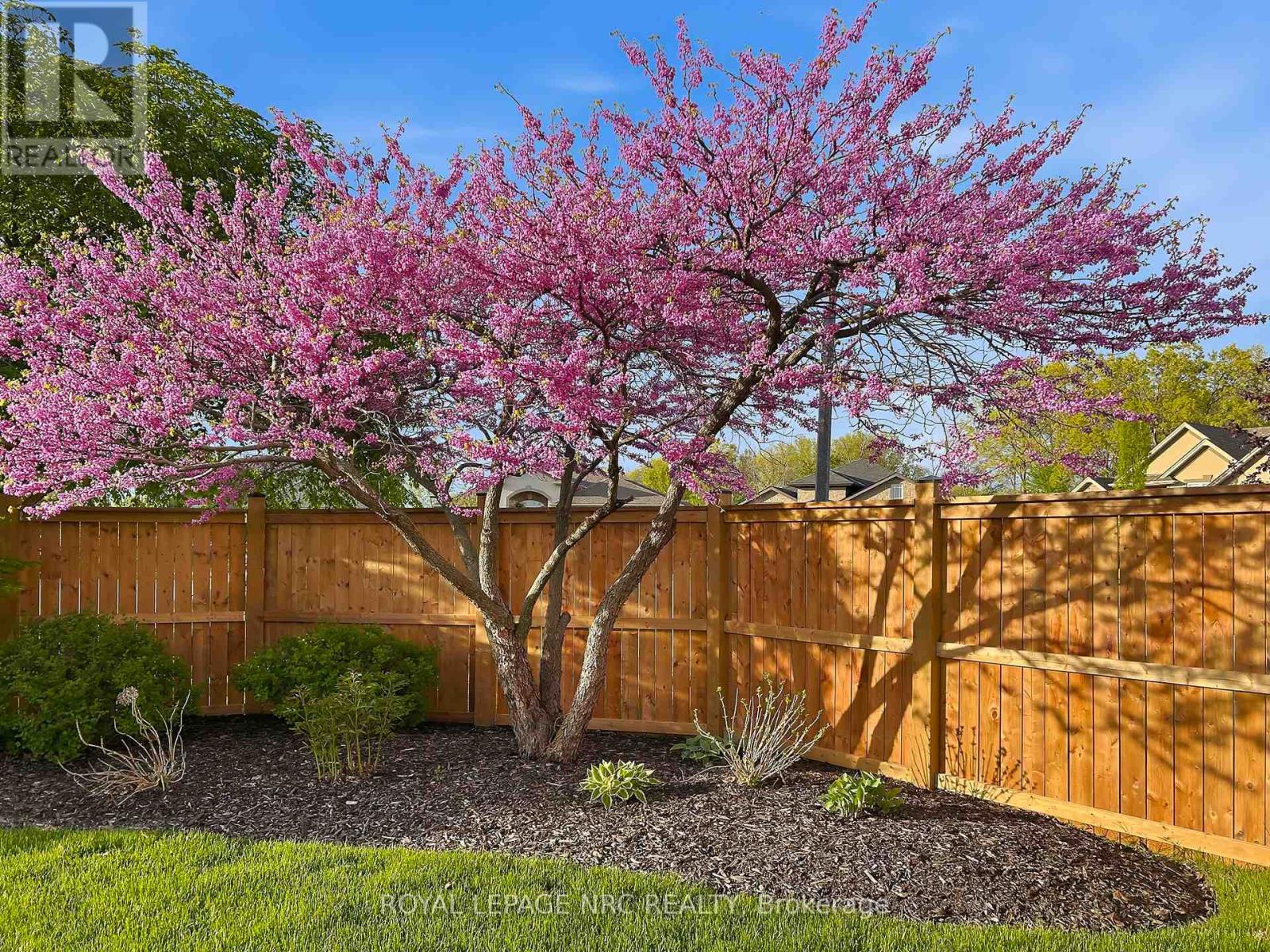 165 Cobeck Drive, Welland, Ontario  L3C 7M1 - Photo 16 - X12904380