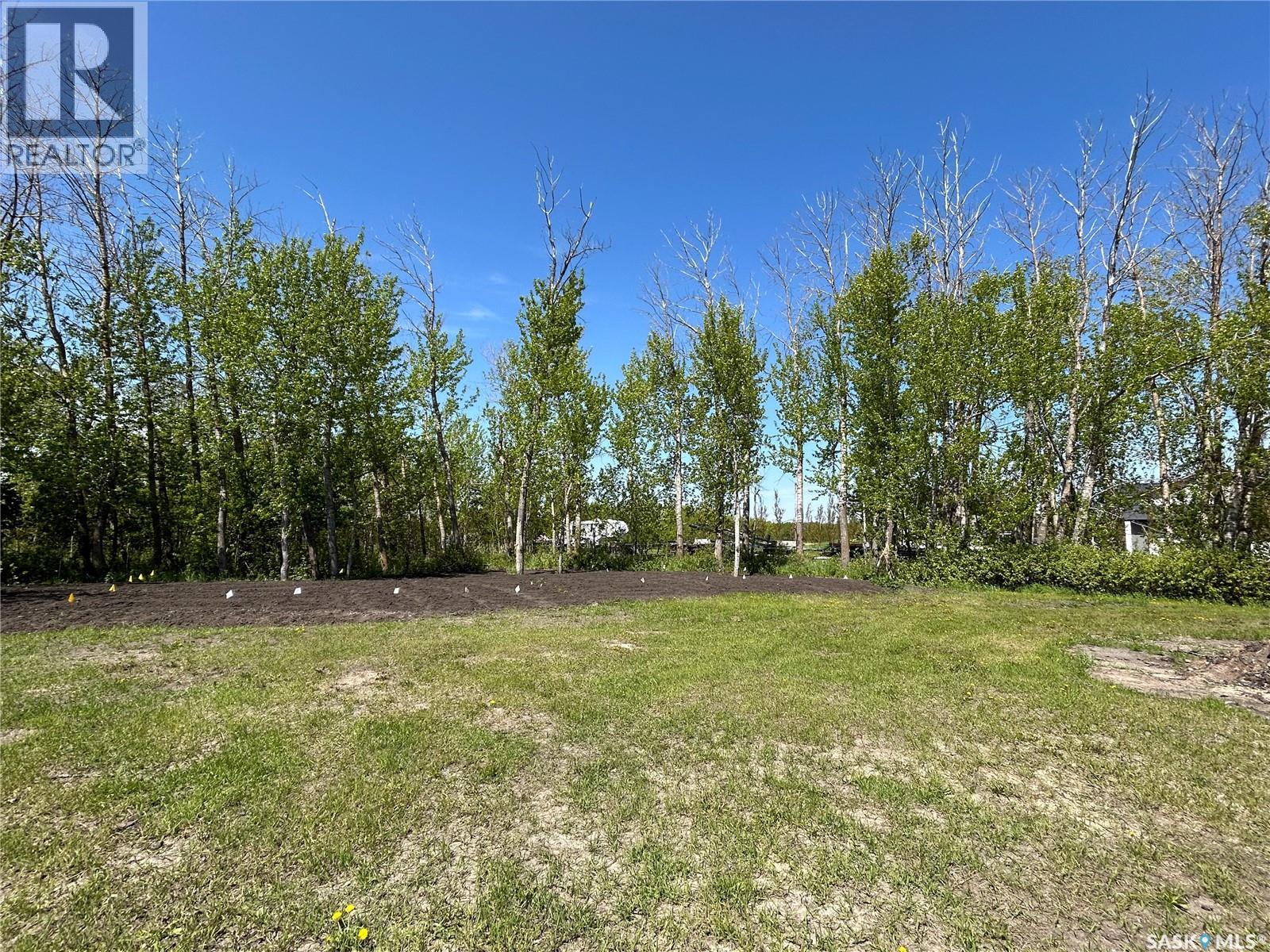 39 Pape Drive, Humboldt Rm No. 370, Saskatchewan  S0K 2A0 - Photo 13 - SK030948