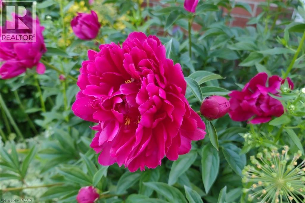 19 East 17th Street, Hamilton, Ontario  L9A 4L9 - Photo 38 - 40802010