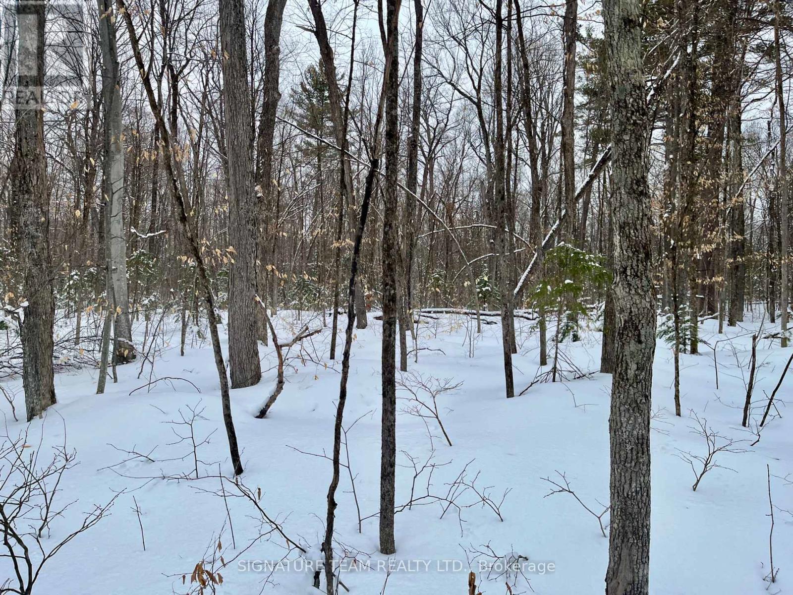 Pt Lt 3 Snake River Line, Laurentian Valley, Ontario  K0J 1K0 - Photo 10 - X12904508
