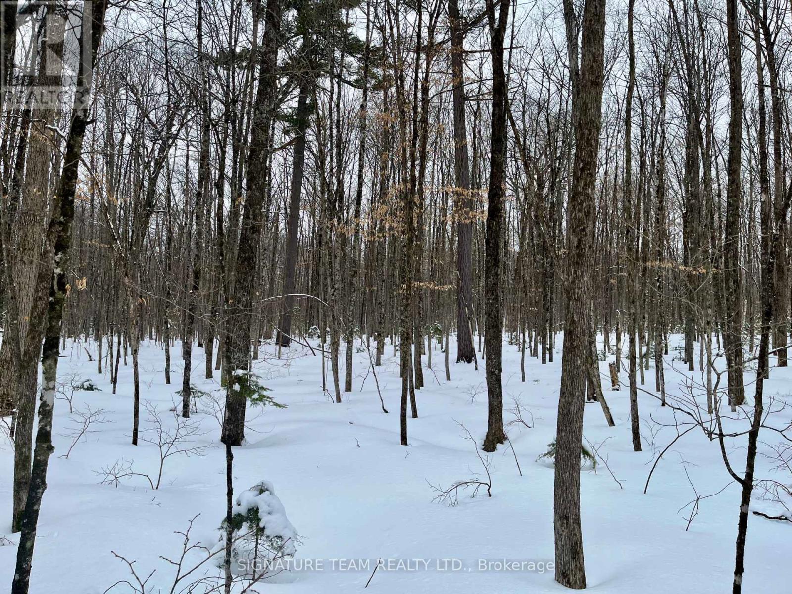Pt Lt 3 Snake River Line, Laurentian Valley, Ontario  K0J 1K0 - Photo 12 - X12904508
