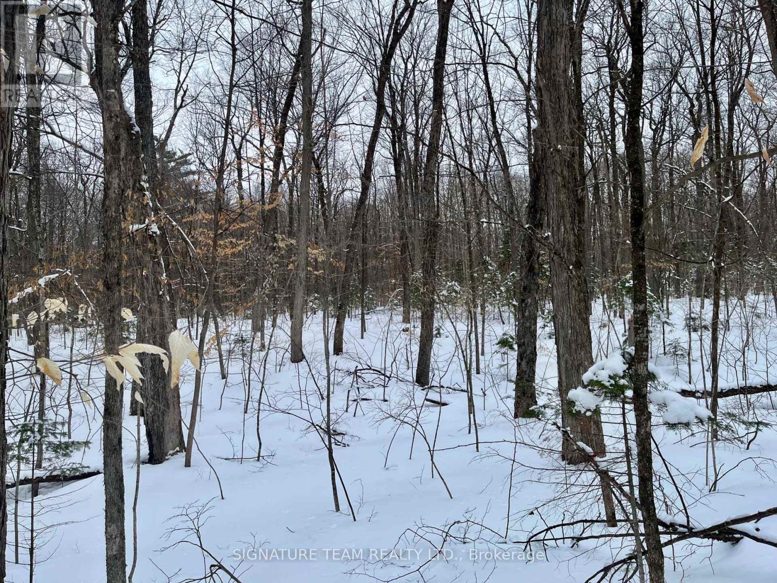 Pt Lt 3 Snake River Line, Laurentian Valley, Ontario  K0J 1K0 - Photo 13 - X12904508
