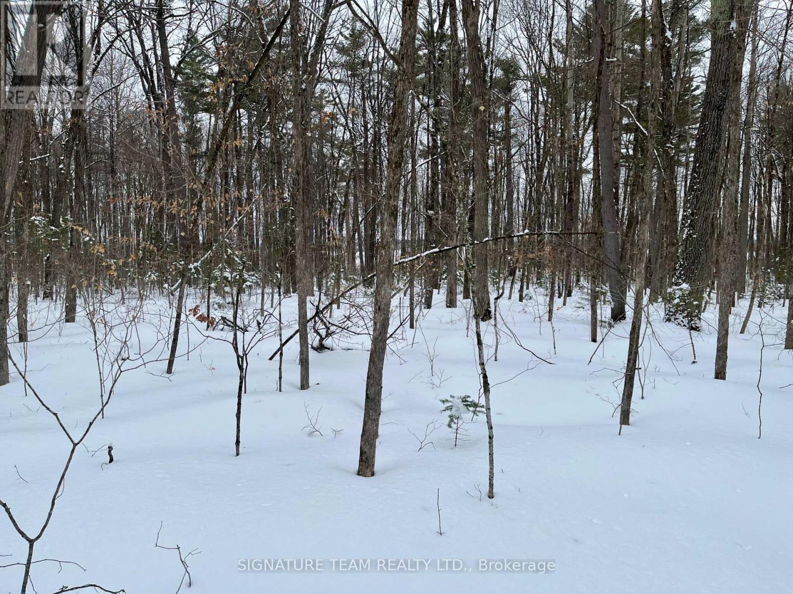Pt Lt 3 Snake River Line, Laurentian Valley, Ontario  K0J 1K0 - Photo 15 - X12904508